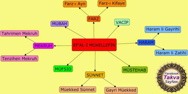 ef-al-i-mukellefin-nedir-seri-mukellefiyetler-islam-dininin